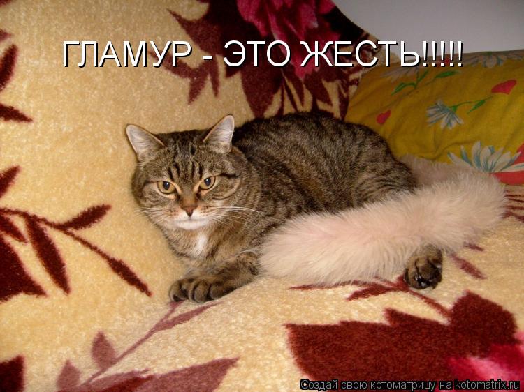 Котоматрица: ГЛАМУР - ЭТО ЖЕСТЬ!!!!!