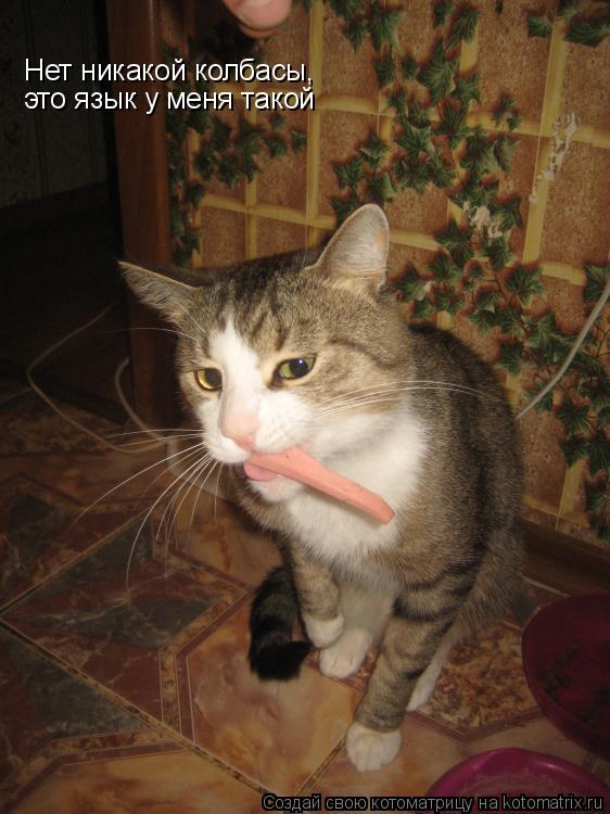 Котоматрица: Нет никакой колбасы, это язык у меня такой