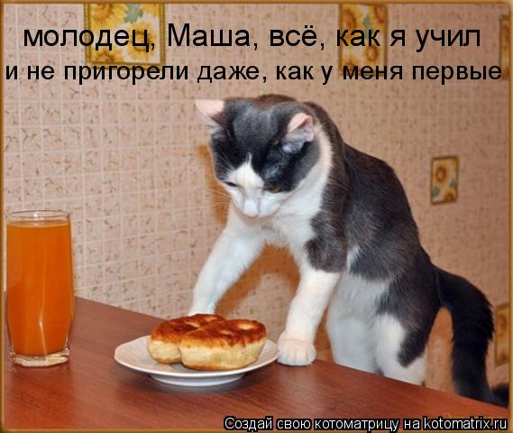 молодец, Маша, всё, как я учил и не пригорели даже, как у меня первые... Котоматрица: молодец, Маша, всё, как я учил и не пригорели даже, как у меня первые