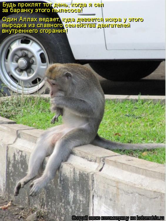 Котоматрица: Будь проклят тот день, когда я сел за баранку этого пылесоса! Один Аллах ведает, куда девается искра у этого  выродка из славного семейства д