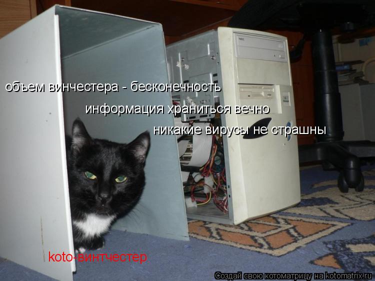 Котоматрица: объем винчестера - бесконечность информация храниться вечно никакие вирусы не страшны koto-винтчестер