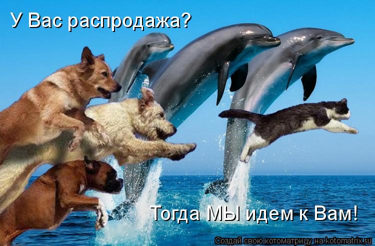 Котоматрица: У Вас распродажа? Тогда МЫ идем к Вам!