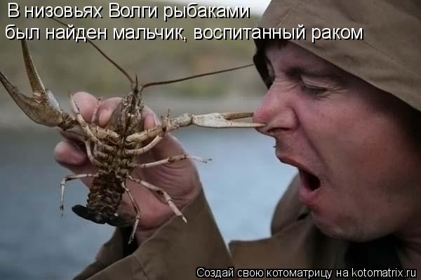 Котоматрица: В низовьях Волги рыбаками  был найден мальчик, воспитанный раком