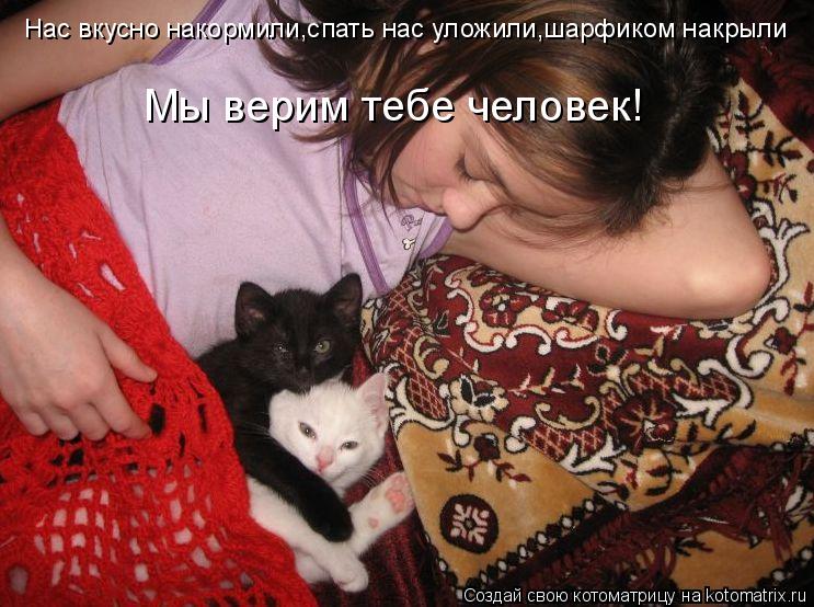 Котоматрица: Нас вкусно накормили,спать нас уложили,шарфиком накрыли Мы верим тебе человек!