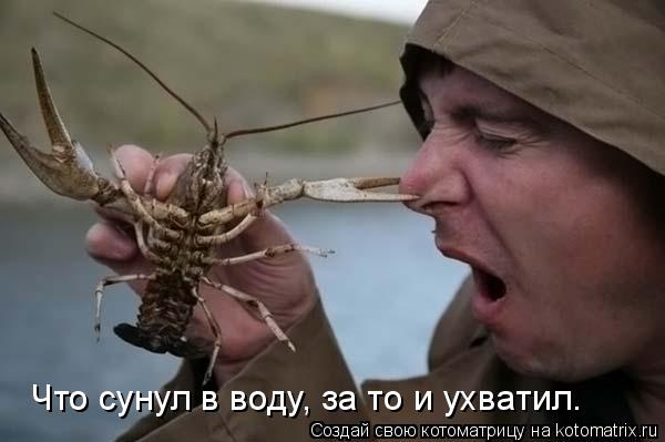Котоматрица: Что сунул в воду, за то и ухватил.