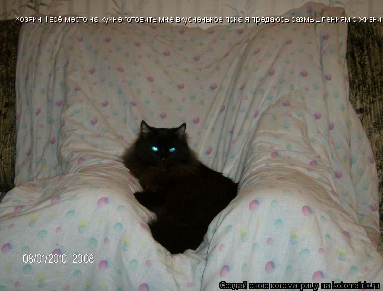 Котоматрица: -Хозяин!Твоё место на кухне:готовить мне вкусненькое,пока я предаюсь размышлениям о жизни!