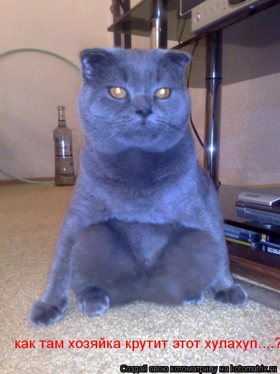 Котоматрица: как там хозяйка крутит этот хулахуп....?