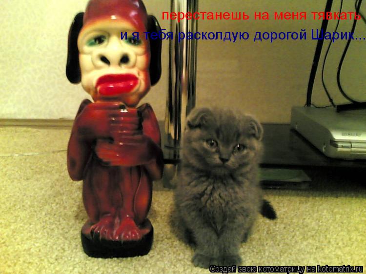 Котоматрица: перестанешь на меня тявкать и я тебя расколдую дорогой Шарик...