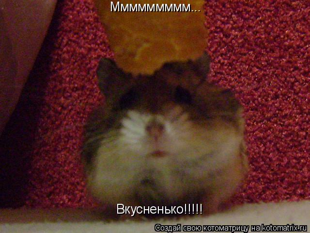 Котоматрица: Ммммммммм... Вкусненько!!!!!