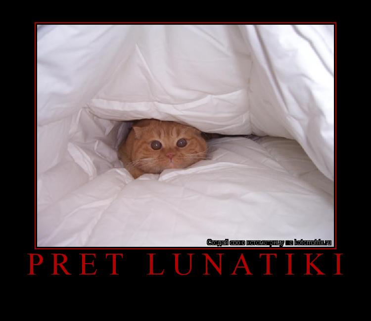Котоматрица: Pret lunatiki 