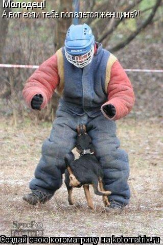 Молодец! А вот если тебе попадется женщина?!... Котоматрица: Молодец! А вот если тебе попадется женщина?!