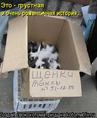Это - грустная и очень романтичная история...... Котоматрица: Это - грустная и очень романтичная история...