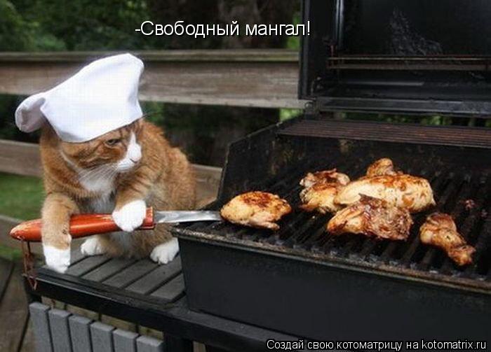 Котоматрица: -Свободный мангал!