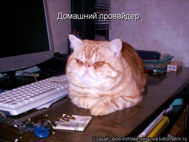 Котоматрица: Домашний провайдер