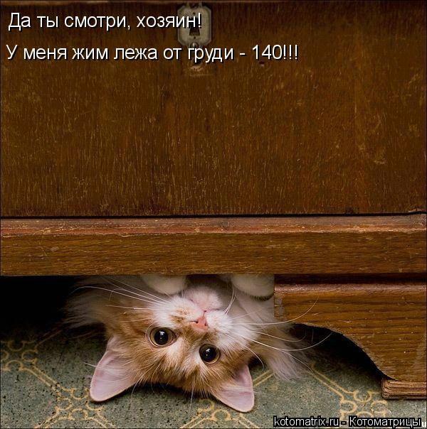 Да ты смотри, хозяин! У меня жим лежа от груди - 140!!!... Котоматрица: Да ты смотри, хозяин! У меня жим лежа от груди - 140!!!