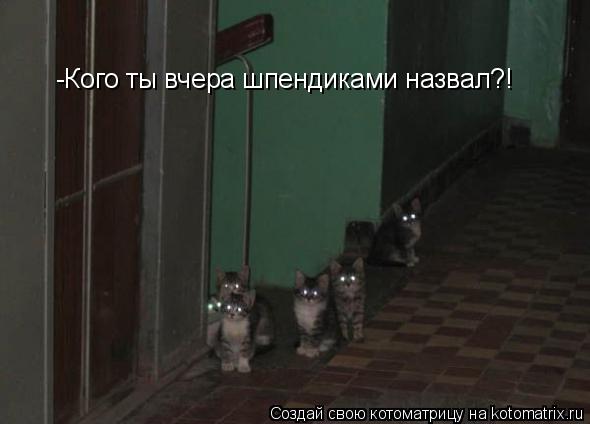 Котоматрица: -Кого ты вчера шпендиками назвал?!