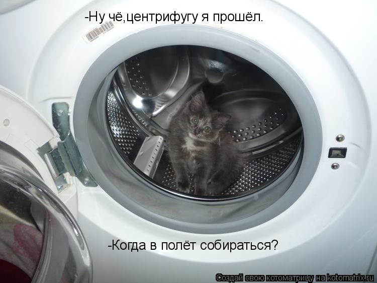 Котоматрица: -Ну чё,центрифугу я прошёл. -Когда в полёт собираться?