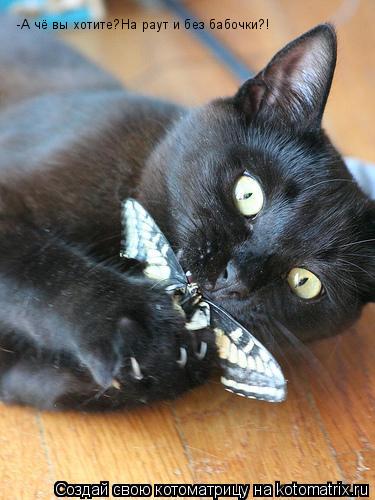 Котоматрица: -А чё вы хотите?На раут и без бабочки?!