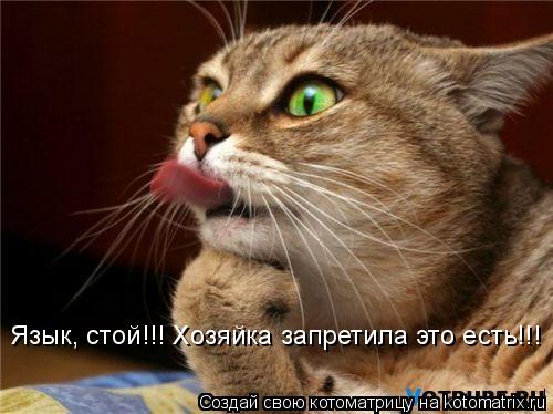 Котоматрица: Язык, стой!!! Хозяйка запретила это есть!!!