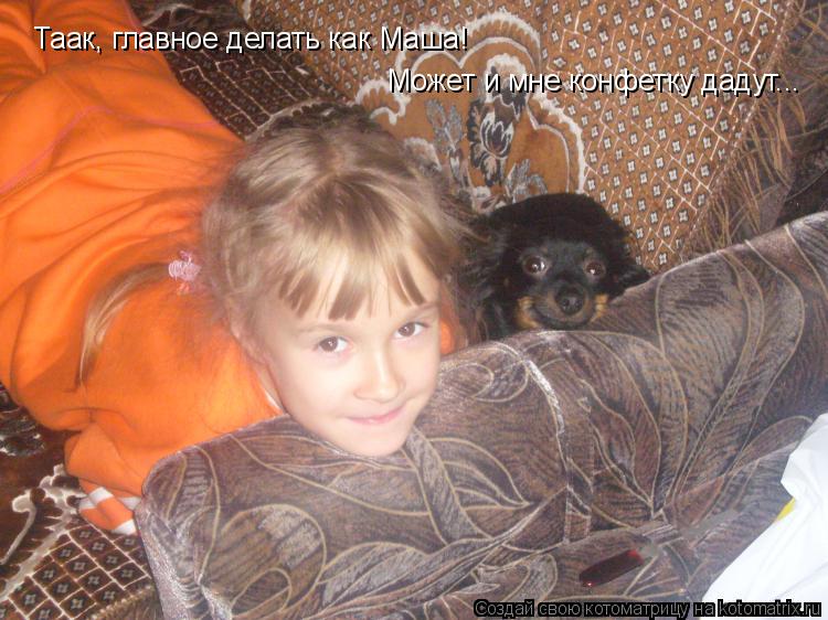 Котоматрица: Таак, главное делать как Маша! Таак, главное делать как Маша! Может и мне конфетку дадут...