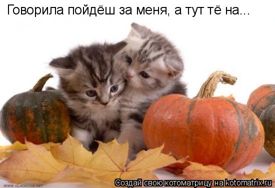 Котоматрица: Говорила пойдёш за меня, а тут тё на...