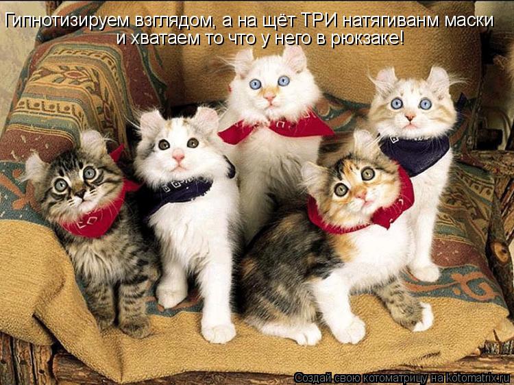 Котоматрица: Гипнотизируем взглядом, а на щёт ТРИ натягиванм маски и хватаем то что у него в рюкзаке!