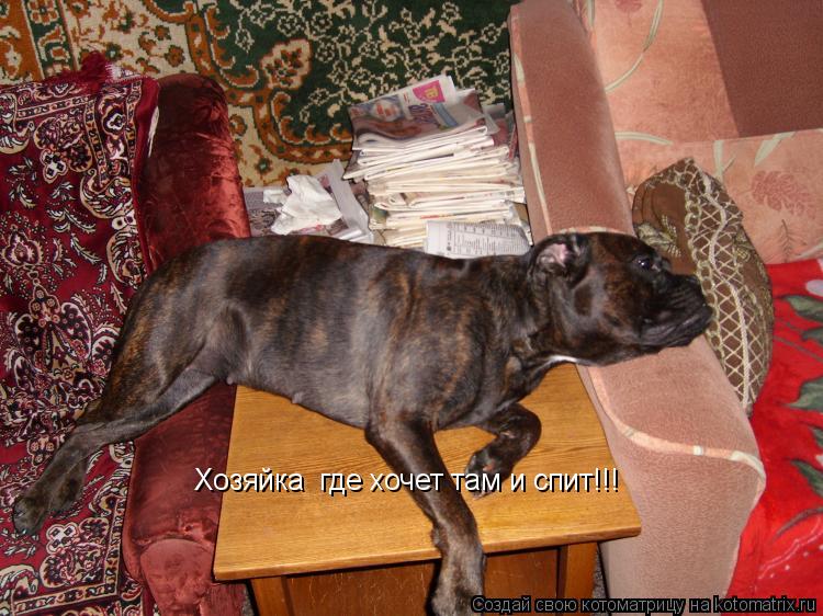 Котоматрица: Хозяйка  где хочет там и спит!!!