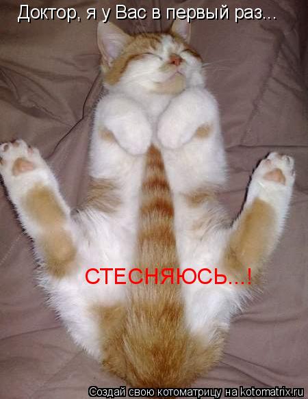 Котоматрица: Доктор, я у Вас в первый раз... СТЕСНЯЮСЬ...!