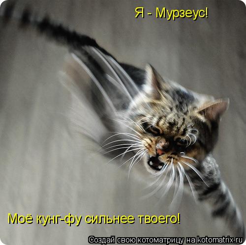 Котоматрица: Я - Мурзеус! Моё кунг-фу сильнее твоего!