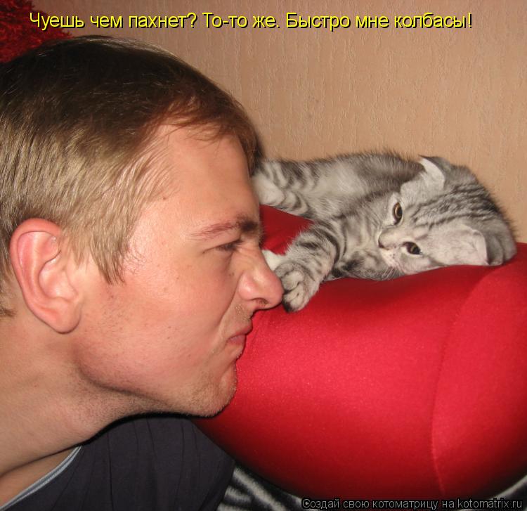 Котоматрица: Чуешь чем пахнет? То-то же. Быстро мне колбасы!