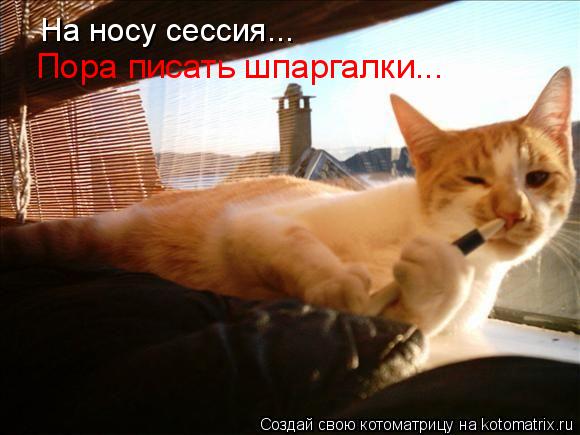 Котоматрица: На носу сессия... Пора писать шпаргалки...