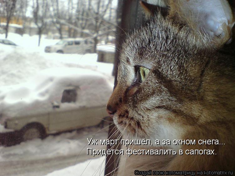 Котоматрица: Уж март пришёл, а за окном снега... Придётся фестивалить в сапогах.