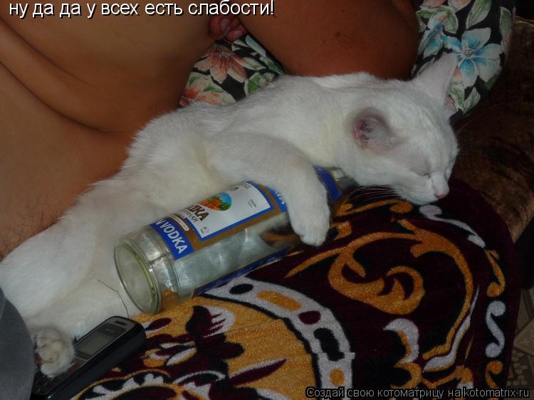 Котоматрица: ну да да у всех есть слабости! ну да да у всех есть слабости!