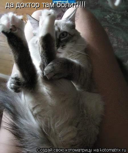 Котоматрица: да доктор там болит!!!!