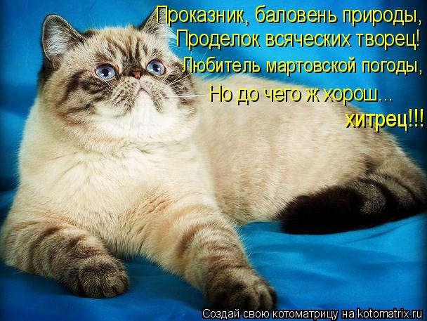 Проказник, баловень природы, Проделок всяческих творец! хитрец!!! Но до чего ж хорош... Любитель март... Котоматрица: Проказник, баловень природы, Проделок всяческих творец! хитрец!!! Но до чего ж хорош... Любитель мартовской погоды,