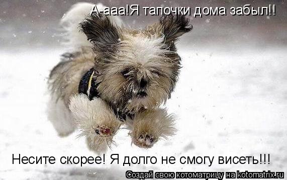 Котоматрица: А-ааа!Я тапочки дома забыл!! Несите скорее! Я долго не смогу висеть!!!