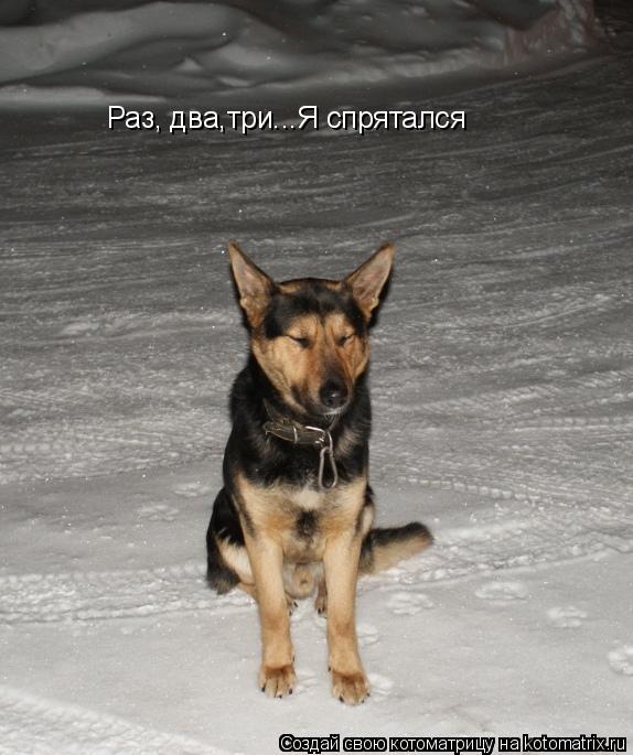 Раз, два,три...Я спрятался... Котоматрица: Раз, два,три...Я спрятался