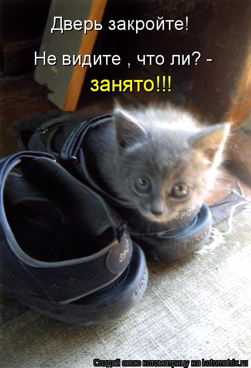 Дверь закройте! Не видите , что ли? - занято!!!... Котоматрица: Дверь закройте! Не видите , что ли? - занято!!!