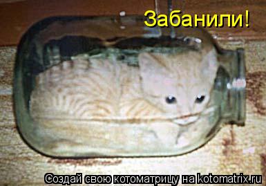 Забанили!... Котоматрица: Забанили!
