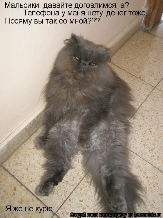 Мальсики, давайте договлимся, а? Телефона у меня нету, денег тоже... Посяму вы так со мной??? Я же не... Котоматрица: Мальсики, давайте договлимся, а? Телефона у меня нету, денег тоже... Посяму вы так со мной??? Я же не курю...