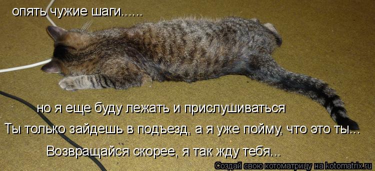 опять чужие шаги...... Ты только зайдешь в подъезд, а я уже пойму, что это ты... Возвращайся скорее,... Котоматрица: опять чужие шаги...... Ты только зайдешь в подъезд, а я уже пойму, что это ты... Возвращайся скорее, я так жду тебя... но я еще буду лежать и прислу