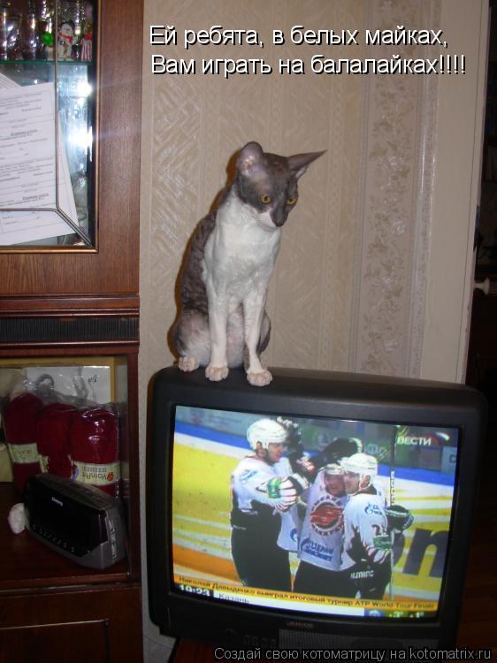 Ей ребята, в белых майках, Вам играть на балалайках!!!!... Котоматрица: Ей ребята, в белых майках, Вам играть на балалайках!!!!