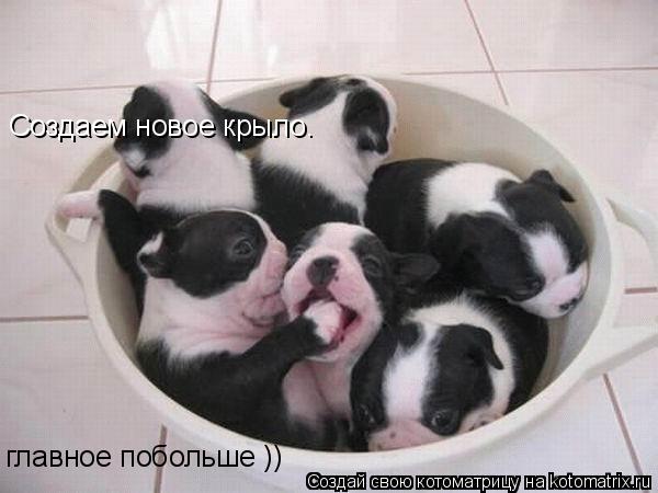 Создаем новое крыло. главное побольше ))... Котоматрица: Создаем новое крыло. главное побольше ))