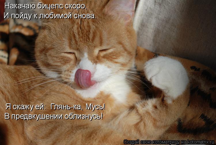 Накачаю бицепс скоро, И пойду к любимой снова. Я скажу ей: «Глянь-ка, Мусь!» В предвкушении облизнусь... Котоматрица: Накачаю бицепс скоро, И пойду к любимой снова. Я скажу ей: «Глянь-ка, Мусь!» В предвкушении облизнусь!