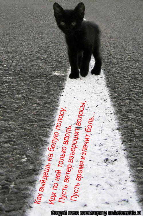 Как выйдешь на белую полосу, Иди по ней только вдоль. Пусть ветер взъерошит волосы, Пусть время излеч... Котоматрица: Как выйдешь на белую полосу, Иди по ней только вдоль. Пусть ветер взъерошит волосы, Пусть время излечит боль...