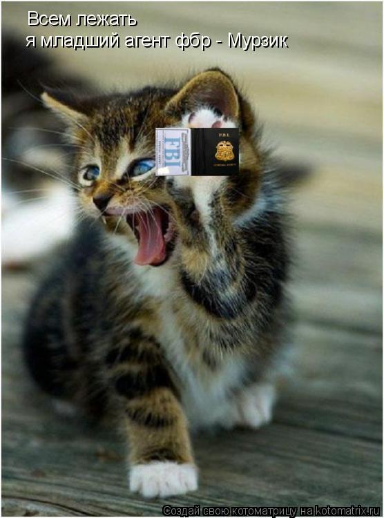 Всем лежать я младший агент фбр - Мурзик... Котоматрица: Всем лежать я младший агент фбр - Мурзик