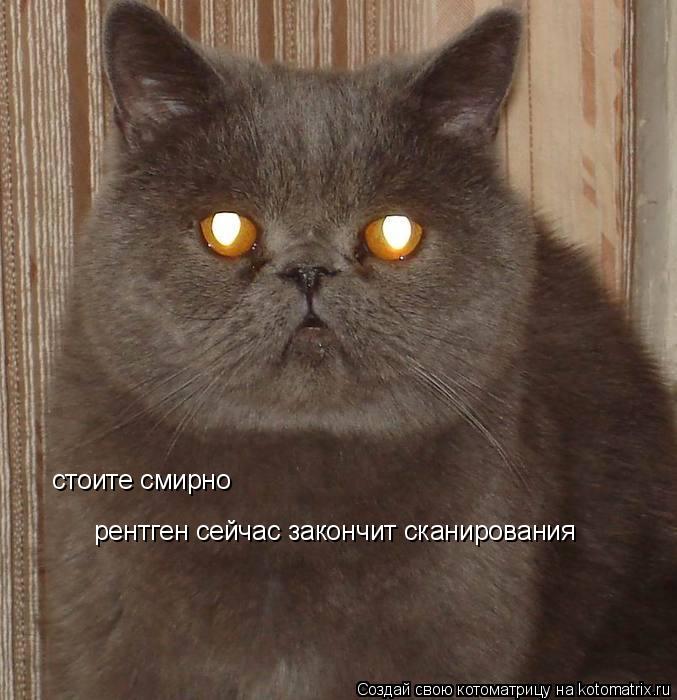 стоите смирно рентген сейчас закончит сканирования... Котоматрица: стоите смирно рентген сейчас закончит сканирования