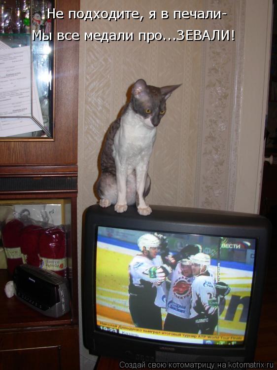 Котоматрица: Не подходите, я в печали-  Мы все медали про...ЗЕВАЛИ!