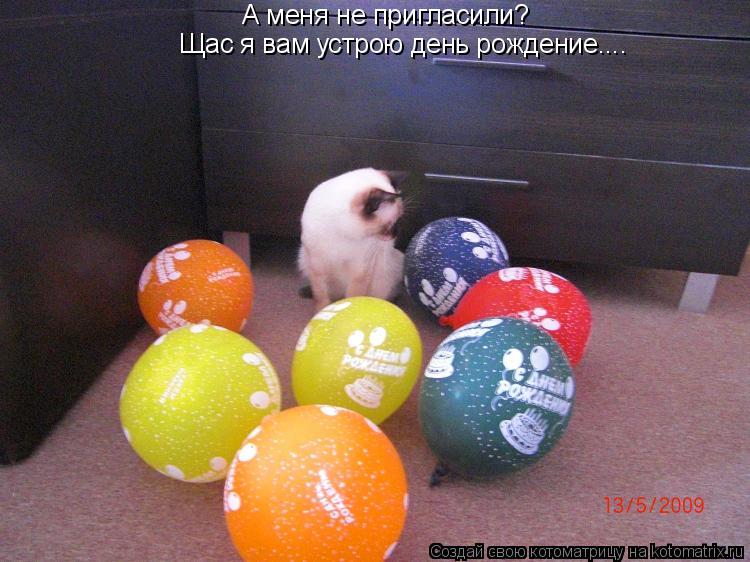 А меня не пригласили? Щас я вам устрою день рождение....... Котоматрица: А меня не пригласили? Щас я вам устрою день рождение....