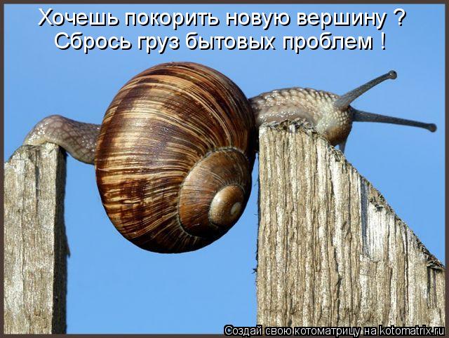 Котоматрица: Хочешь покорить новую вершину ? Сбрось груз бытовых проблем !